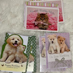 6 birthday card bundle cuddly puppy/kitten with matching print envelopes